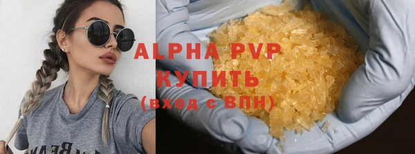 apvp Горняк