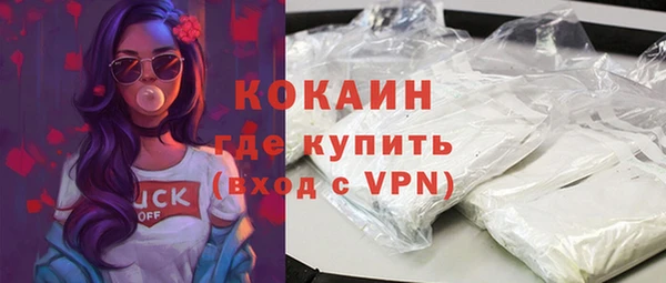 apvp Горняк