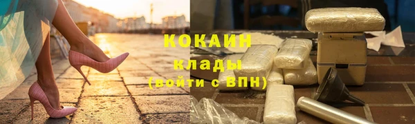 apvp Горняк