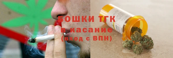 apvp Горняк