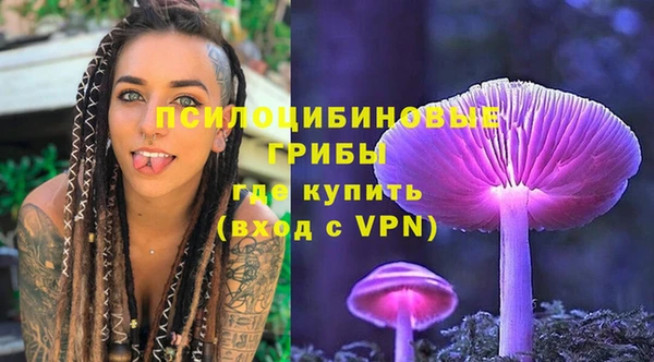 PSILOCYBIN Горнозаводск
